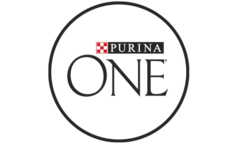 Purina ONE® Dry Cat Food